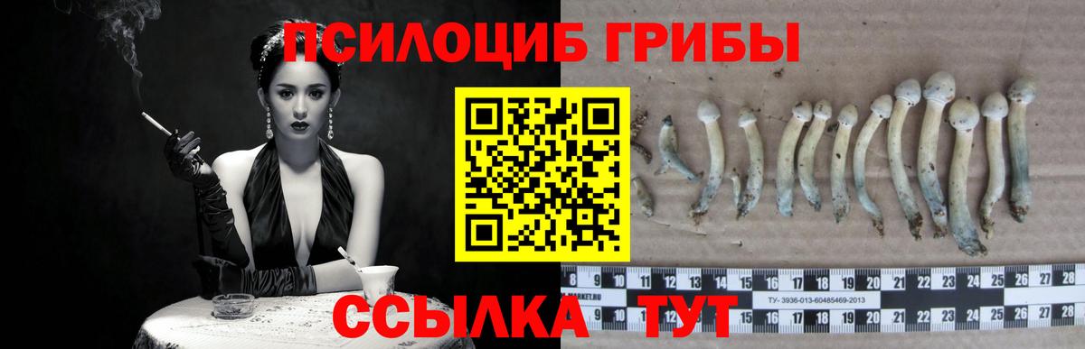 Галлюциногенные грибы Magic Shrooms Кингисепп