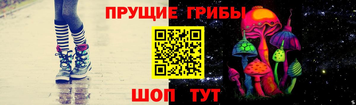 купить  цена  Галлюциногенные грибы MAGIC MUSHROOMS  Вход с VPN  Кингисепп  Псилоцибиновые грибы ЛСД 